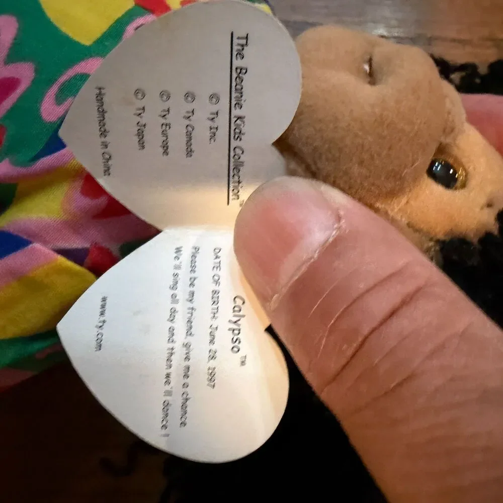 Ty beanie kids